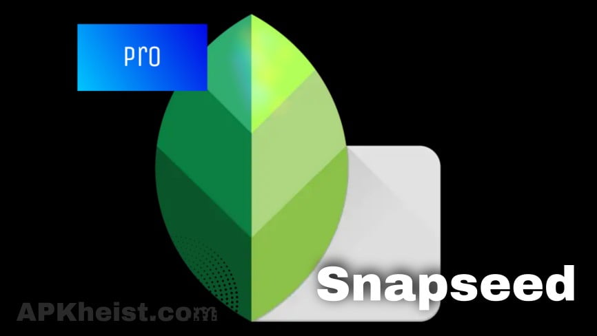 Snapseed MOD APK (Premium débloqué)
