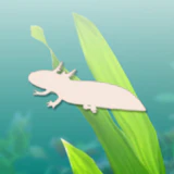 Axolotl Pet Mod Apk v3.0 (Menu/Free Shopping/Unlimited Money-Unlocked All)