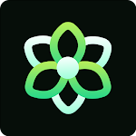 BeeLine Green Iconpack v2.2 build 15 (Patched)