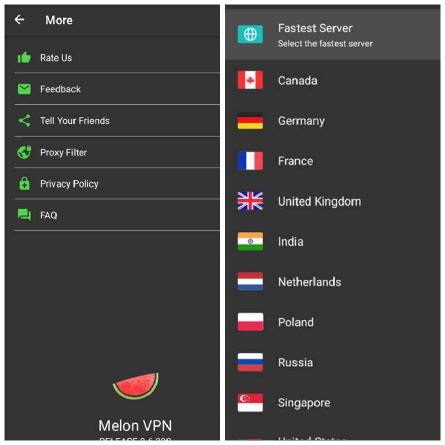 Melon VPN MOD APK(VIP, Premium Unlocked)