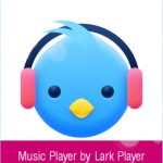 Lark Player MOD APK v5.39.5 (PRO /Premium Unlocked + AdFree) Download 2022