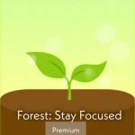 Forest Stay Focused MOD APK V4.61.1 (Premium Unlocked)