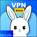 Bunny VPN Premium APK + MOD 2022 (VIP/PRO Unlocked) V1.4.7 Hack Download